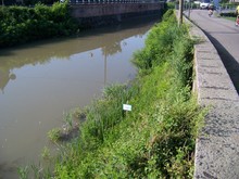 100_7761.JPG