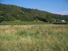 100_7766.JPG