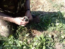 IMG-20180617-WA0020.jpg