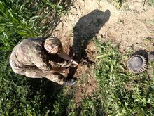 IMG-20180617-WA0029.jpg
