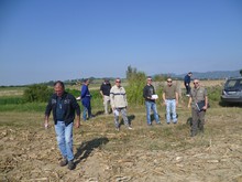 ricog_P1090424.JPG