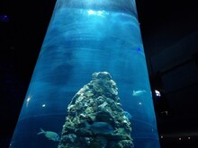 113_0457.JPG